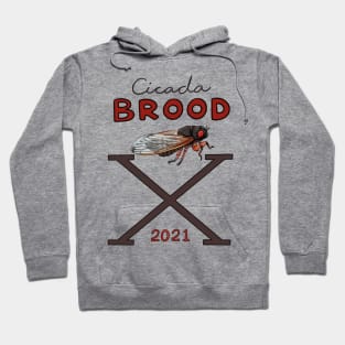 Cicada Brood X Hoodie